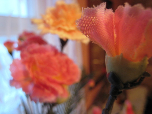 Flowers. 