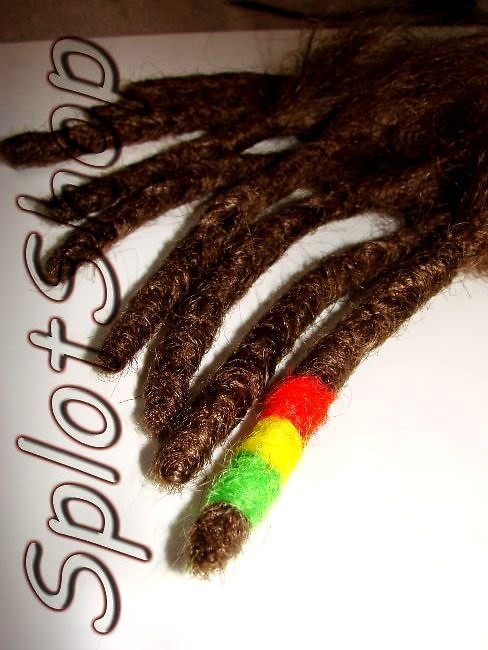 dredy Bielsko z  kocwk rasta