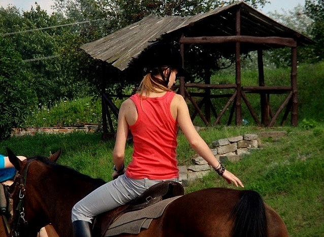 konik