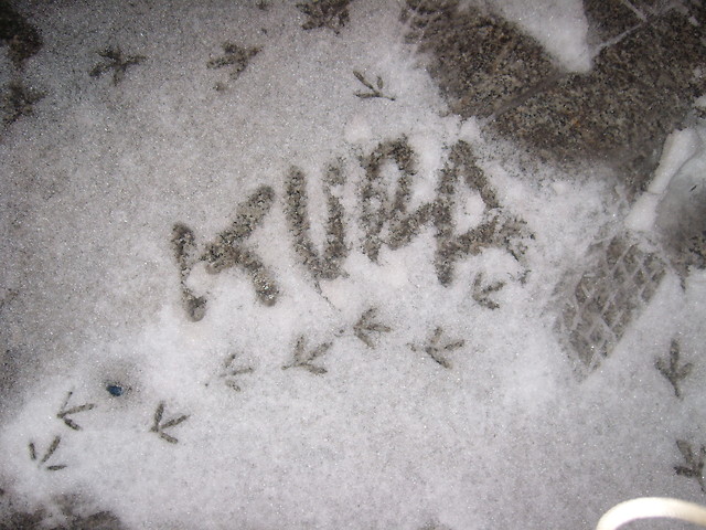 Taaaak Kura te...:P