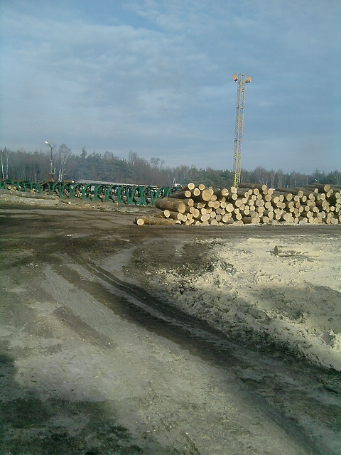 Tartak