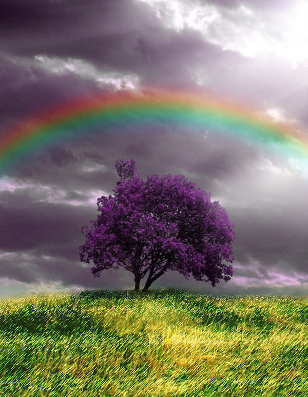 Hope
