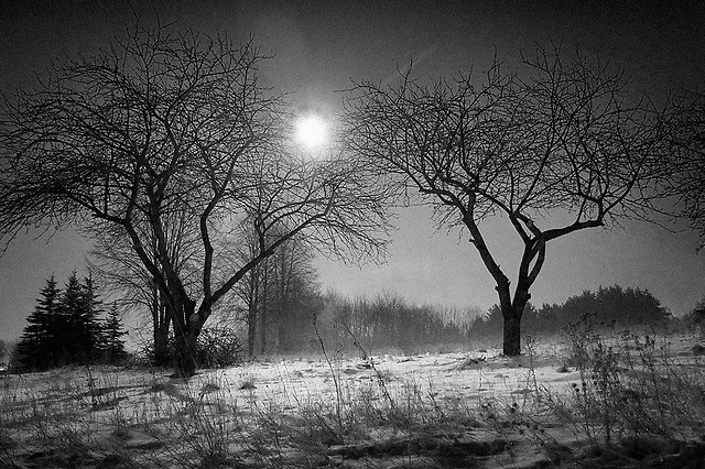 Rozmowy noc
