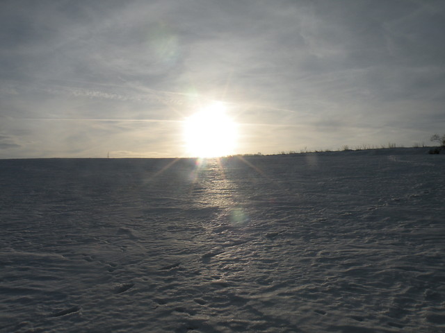 Zima