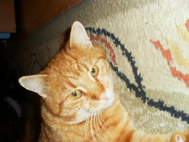 Micek ; )