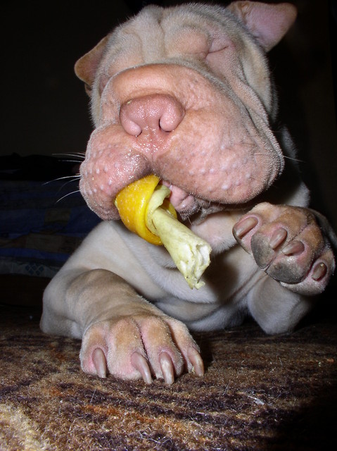 dziuuuuuubasek;*