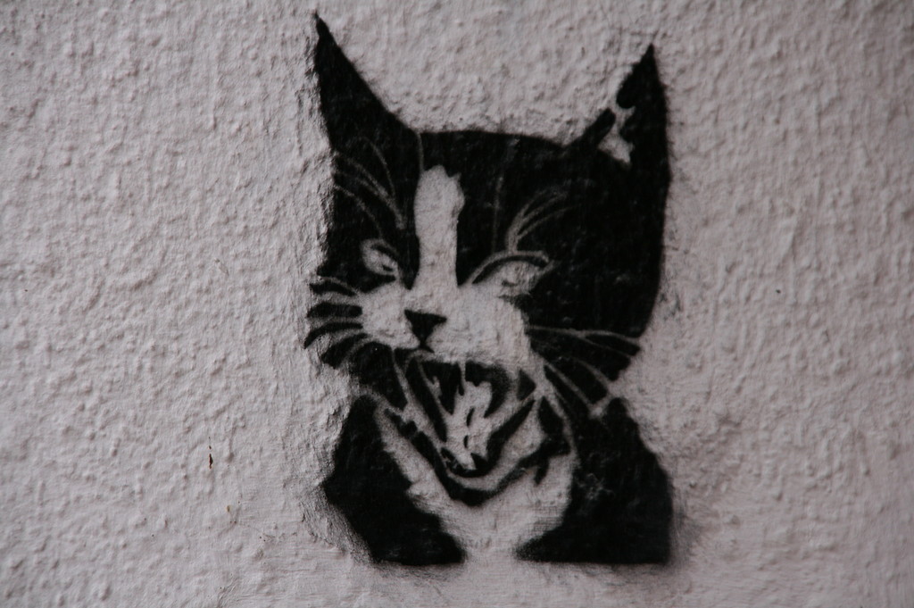 ... MRRRRRR