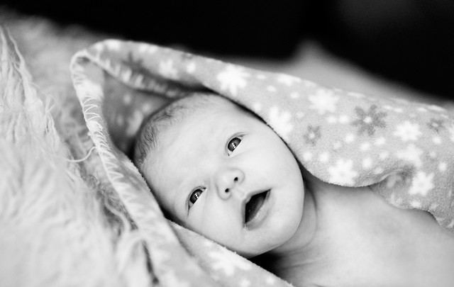 Taka sobie maa Paulinqa:*:*:*