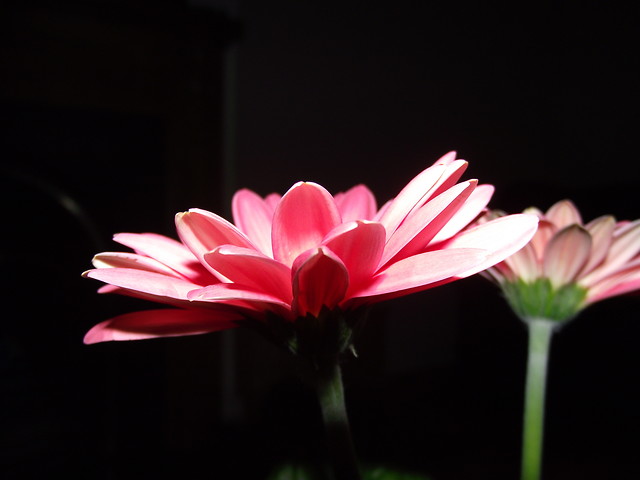 19/02/11