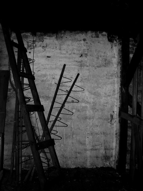 rhythms of violence.