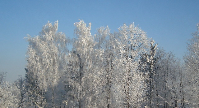 Zima;p
