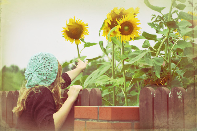 sunny days