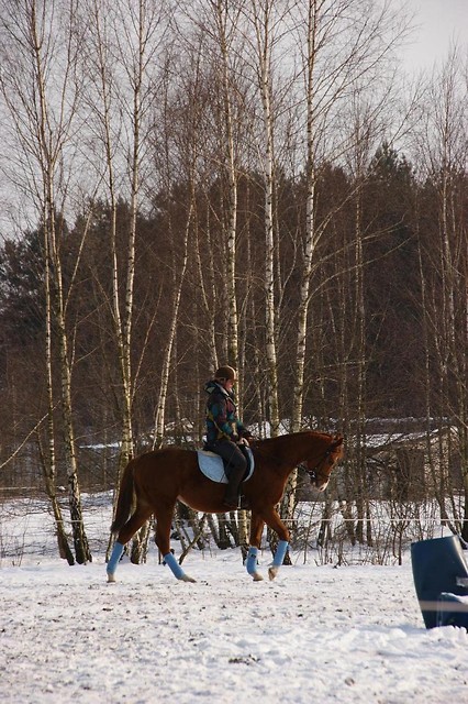 Alaskit