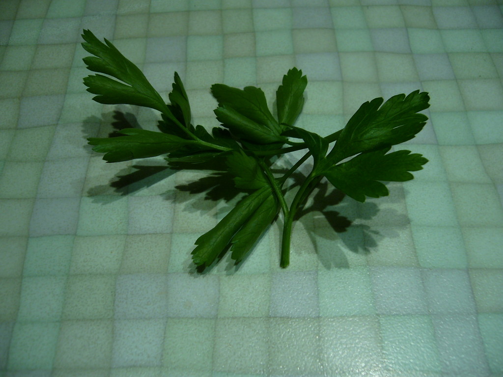 pietruszka