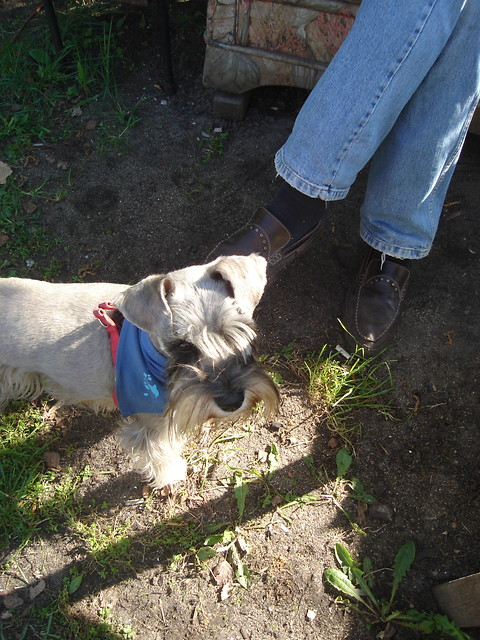 Lato 2010
