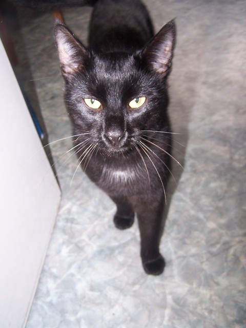 Czaru