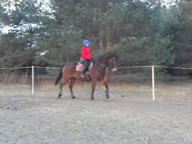 Zonik