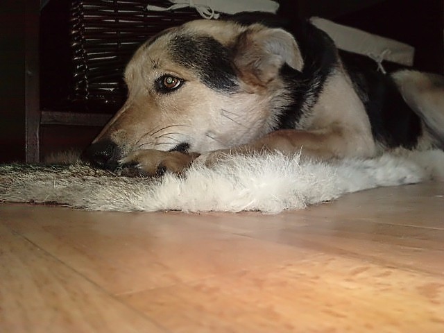 Pindolek :* ;D 