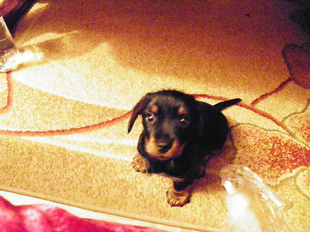 Jacky;D