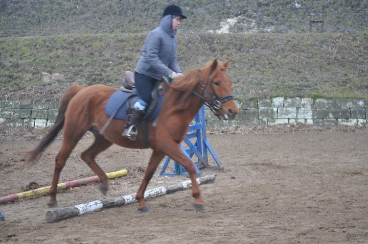 Ruda