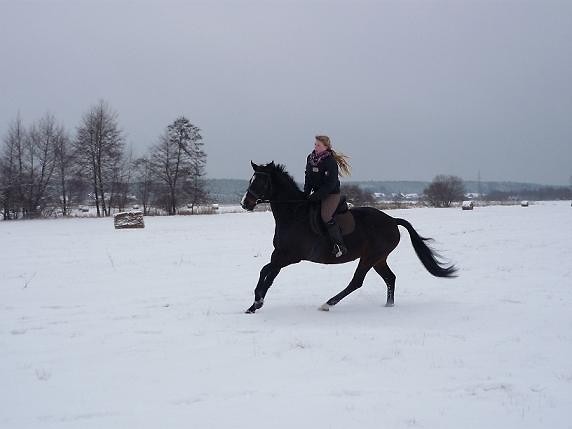 Ko jest Bogiem a Galop naogiem