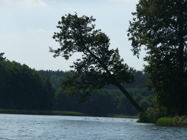 Nata maa 2010, przed uderzenie