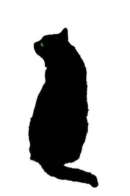 Kotek 
