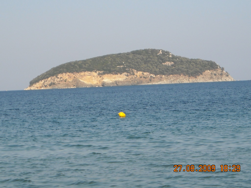 231.