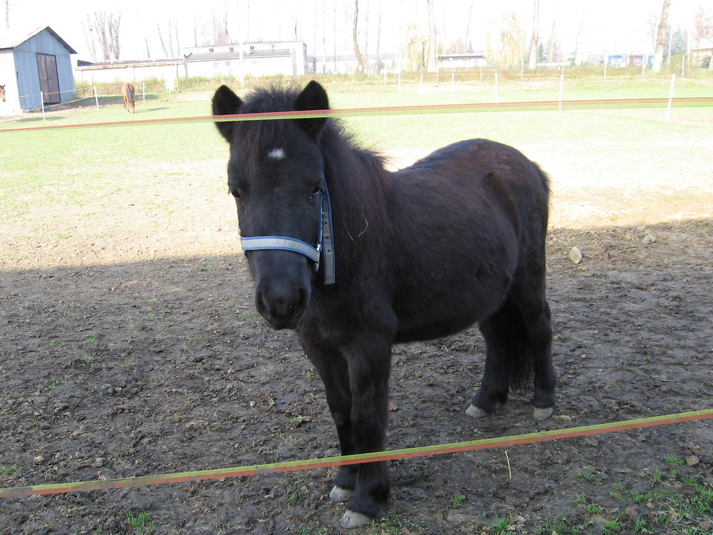 Klamka ;d