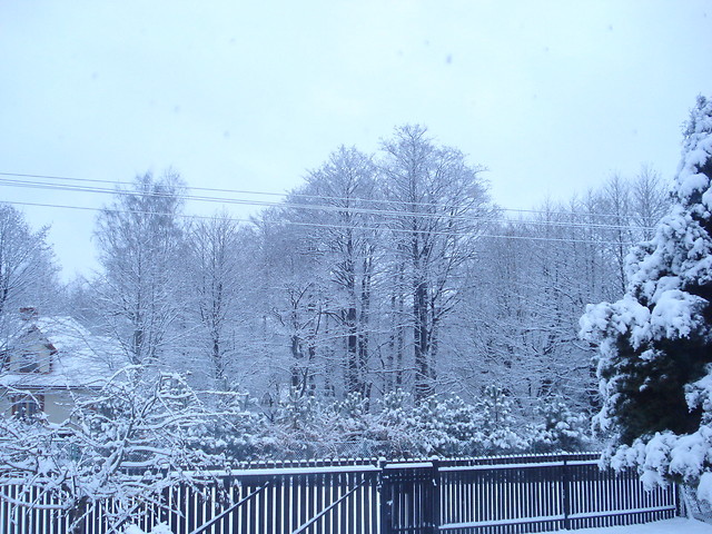 zima2010