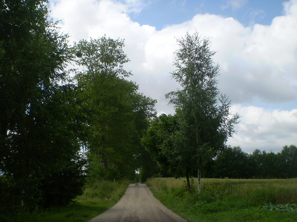 Widoki
