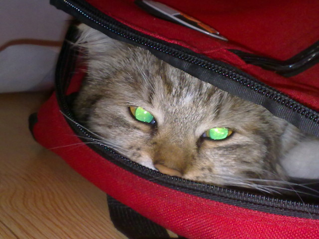 Moja licznotka...;***