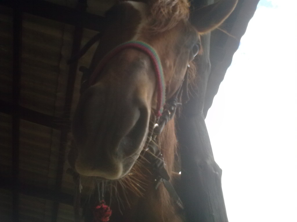 Rewelax3