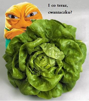 gld za salat ! ;)