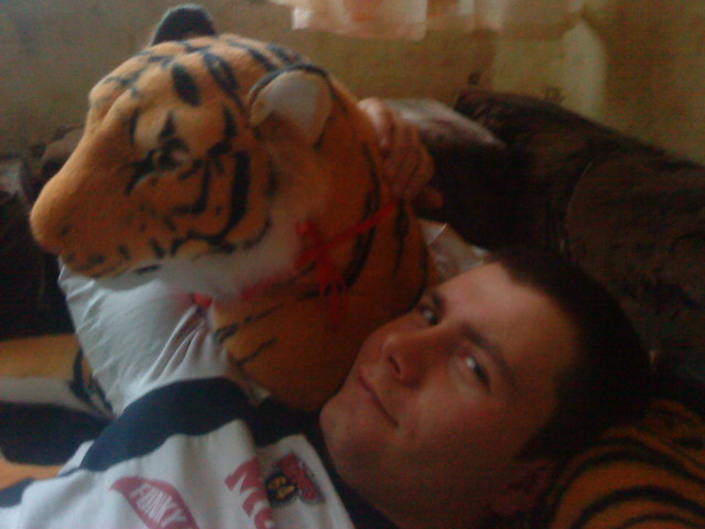 Tiger end tiger;p