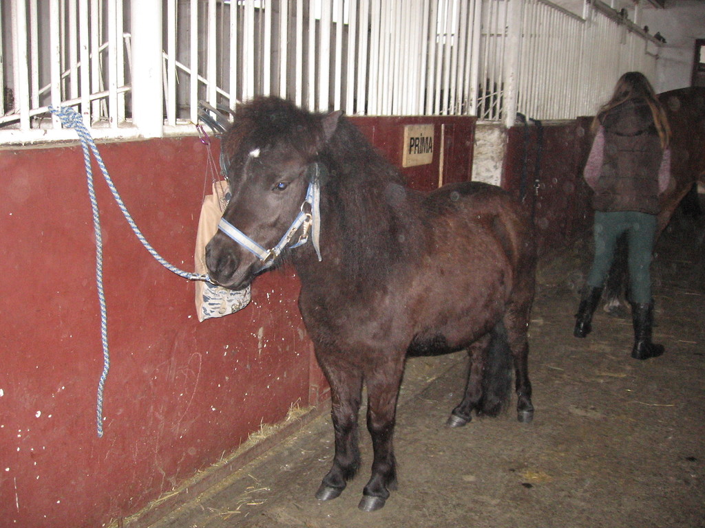 Klamka 