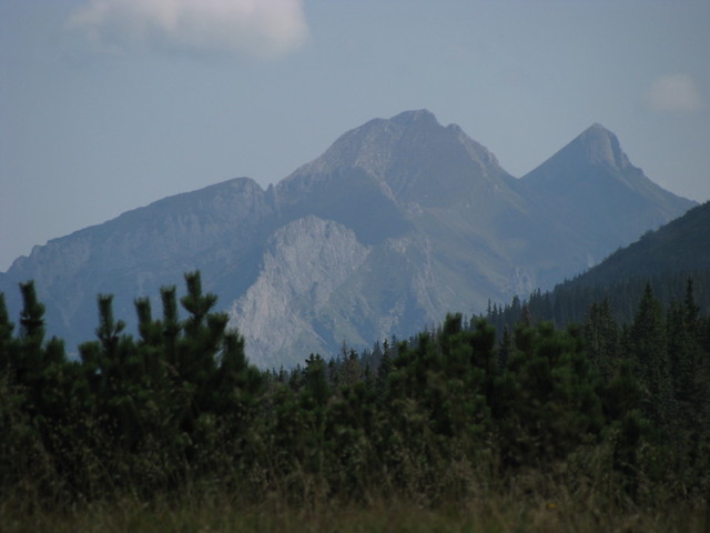 to