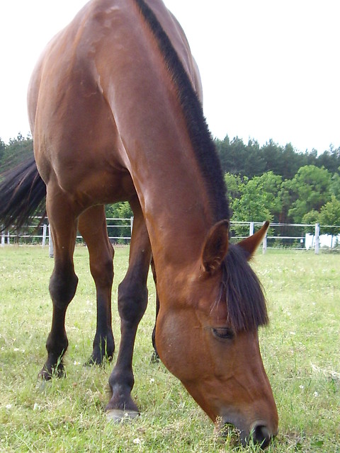 ^^Alicja^^