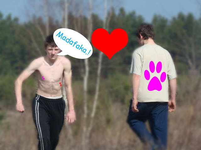 kropka