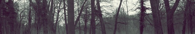 05.02.2011/06.02.2011