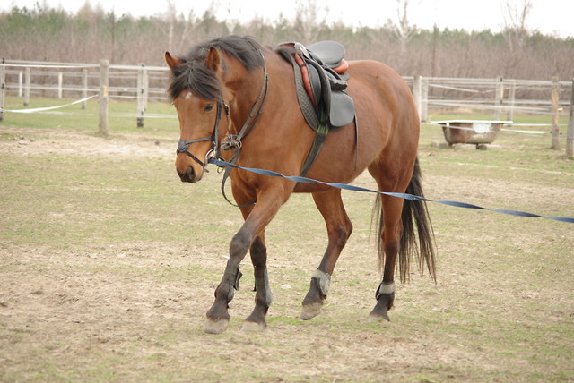^^Alicja^^
