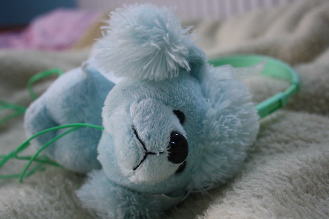 Suchawki pudle.