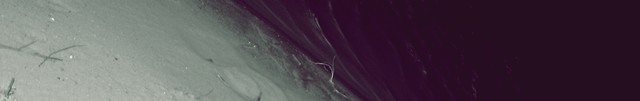 07.02.2011/08.02.2011