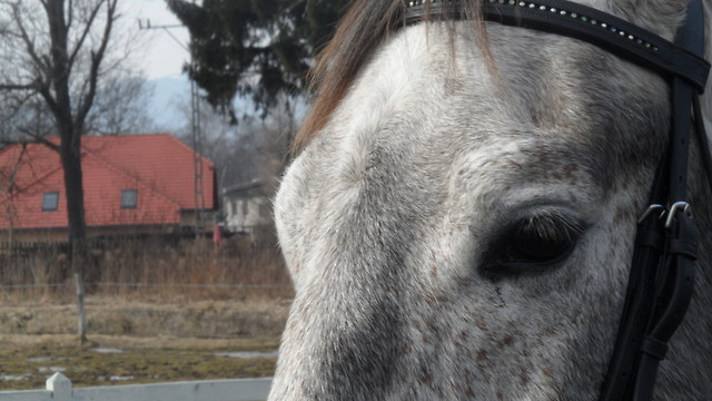 033.MARZEC