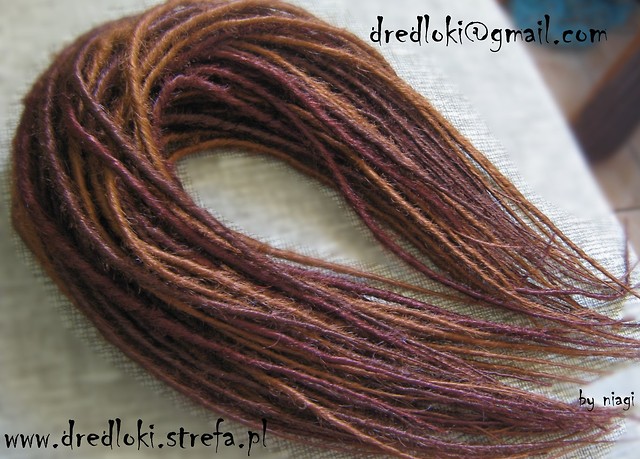 dredloki brzy