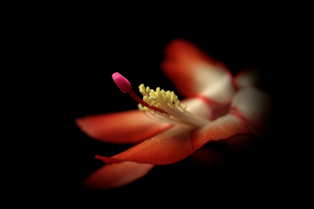 ... Quiet conversation ....