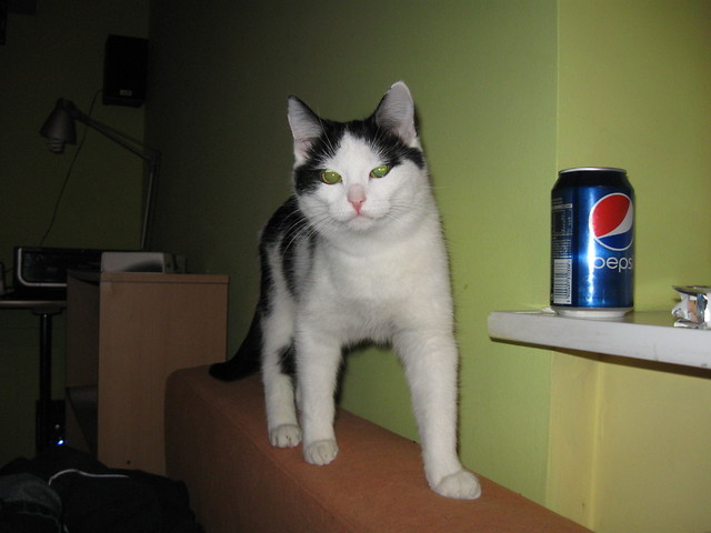 Kola