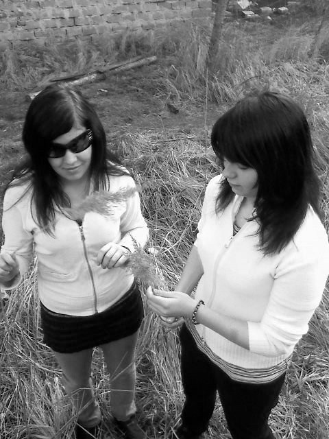 11 marca 2011