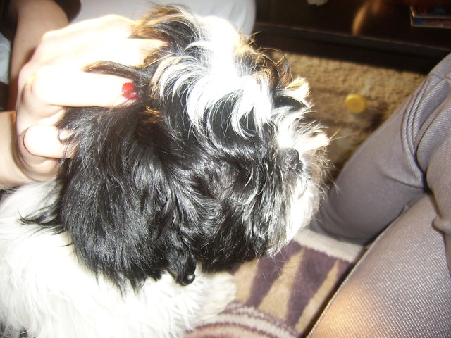 zuuzaa ;D