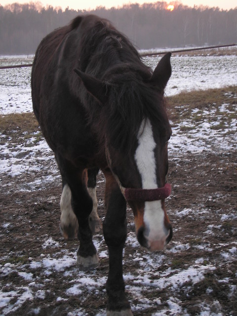 Miesiek :D 